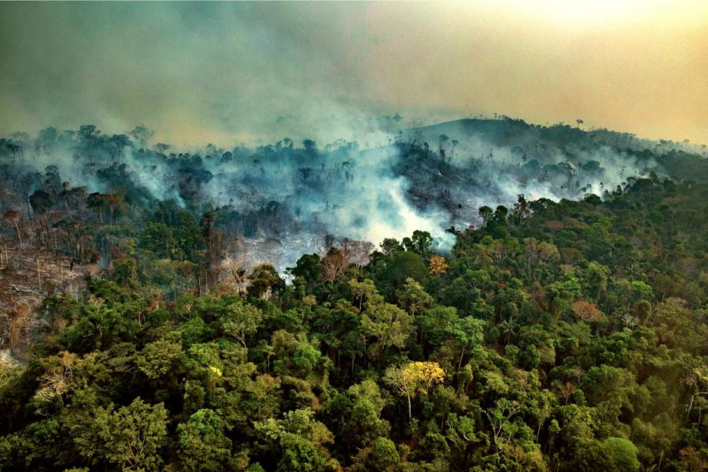 The Amazon River Valley is home to the largest tropical rainforest on Earth. This is roughly the size of forty-eight adjacent United States and it covers almost 40 percent of the South American continent. The Amazon rainforest covers parts of eight...