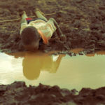 A boy drinks water from a pond in Bule Duba village in the outskirts of Moyale, near the edge of Oroma and Somali regions of Ethiopia, June 12, 2009. Copyright REUTERS/Irada Humbatova
