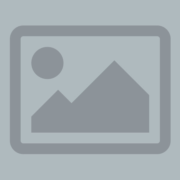 News spotlight: Deforestation linked to dramatic decline in Amazon rainfall