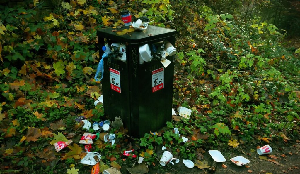 After all the recent buzz on climate change, I really hope people have become more aware of what’s happening across our planet. Every day there are hundreds of activists who protest for a cause. Cause to save the planet, they see a ray of hope to mend things destroyed by the humans. While many of us are actively protesting some of us still have this question of how we can contribute towards the same.