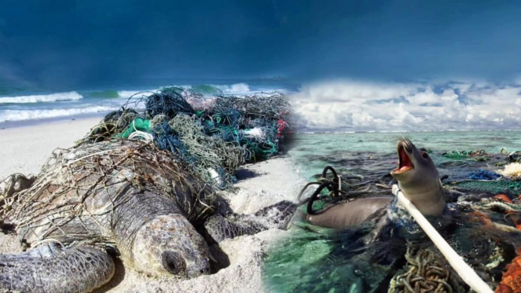 There's nothing quite like the beach, standing on the shore with the sun on your shoulders, burying your feet in the hot sand, letting the cool water wash over your legs as you stare at the open blue horizon. We are connected to the coast and ocean...